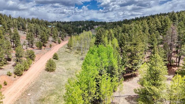 42 Rabbit Circle, Florissant, CO 80816