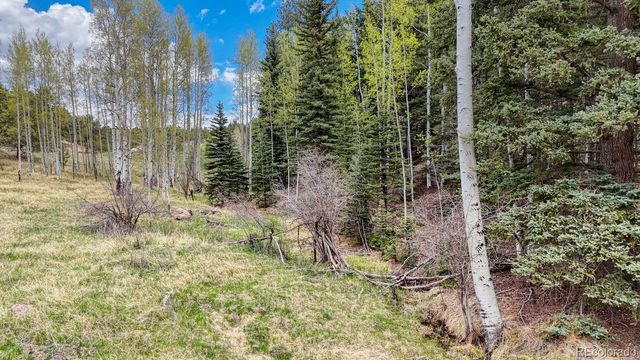 42 Rabbit Circle, Florissant, CO 80816
