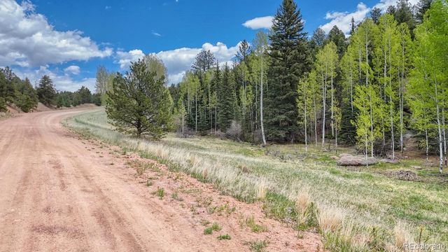 42 Rabbit Circle, Florissant, CO 80816
