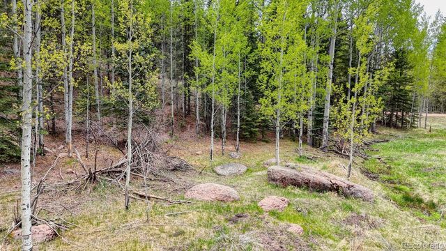 42 Rabbit Circle, Florissant, CO 80816