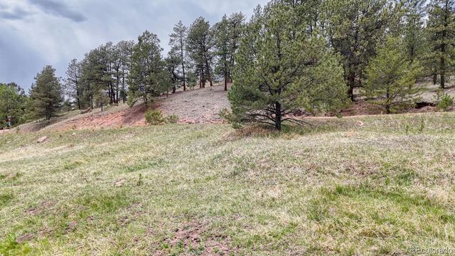 42 Rabbit Circle, Florissant, CO 80816