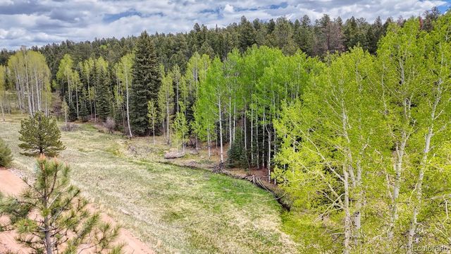 42 Rabbit Circle, Florissant, CO 80816