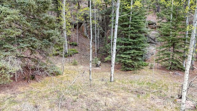 42 Rabbit Circle, Florissant, CO 80816