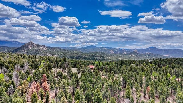 42 Rabbit Circle, Florissant, CO 80816