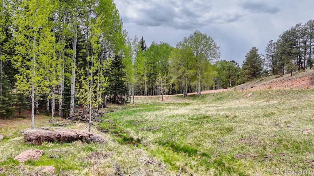 42 Rabbit Circle, Florissant, CO 80816