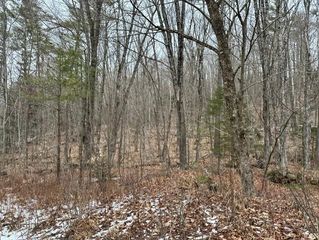 10-3-18 Myrtle Street, Campton, NH 03223