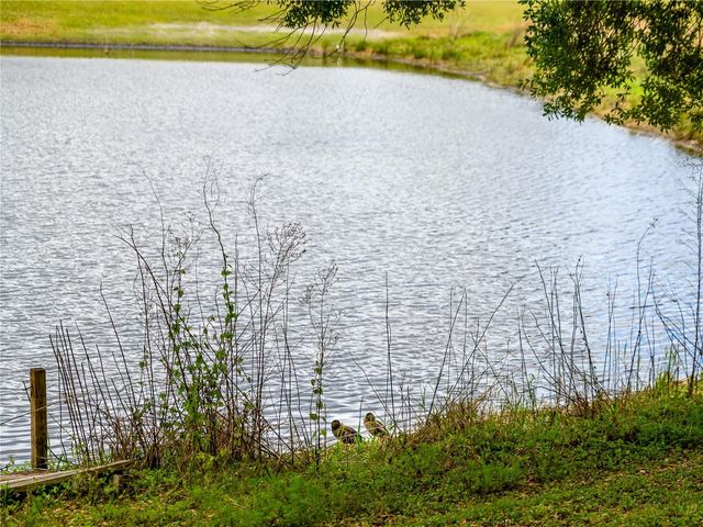 24180 LANDING DRIVE, Lutz, FL 33559