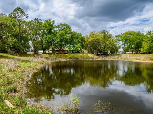 24180 LANDING DRIVE, Lutz, FL 33559