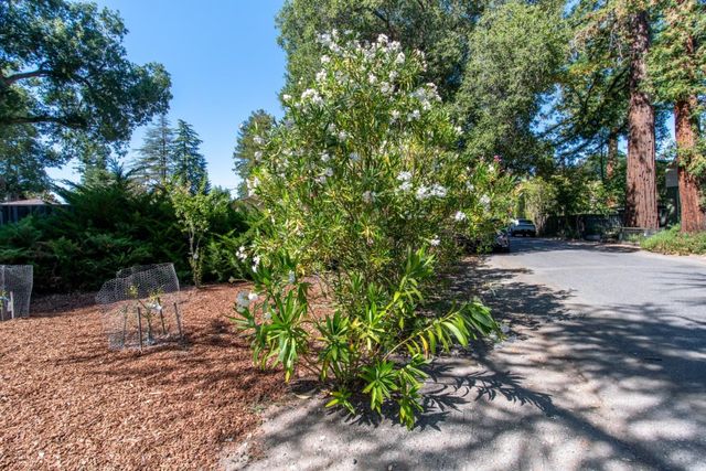 14111 Alta Vista Avenue, Saratoga, CA 95070