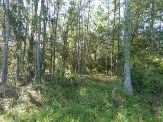 00 SE HWY 19, Otter Creek, FL 32683