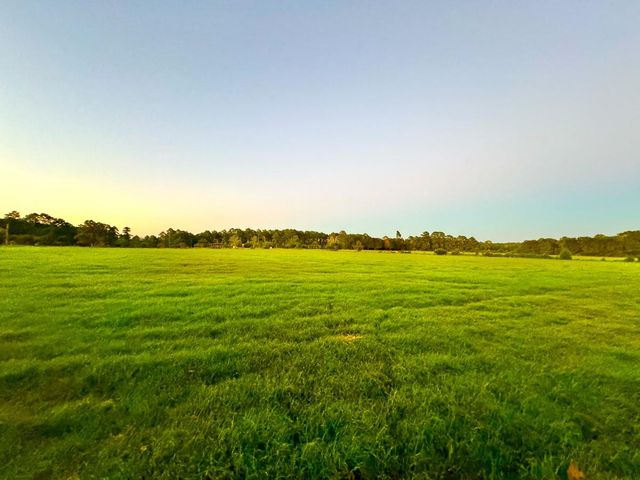 T-1 Hoke Road, Richards, TX 77873