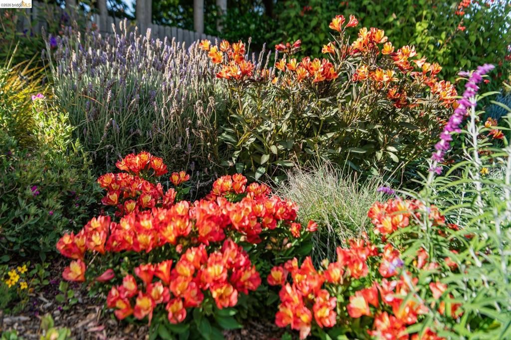 Image 46 of property listing at 5705 Panama Ave, Richmond, CA 94804