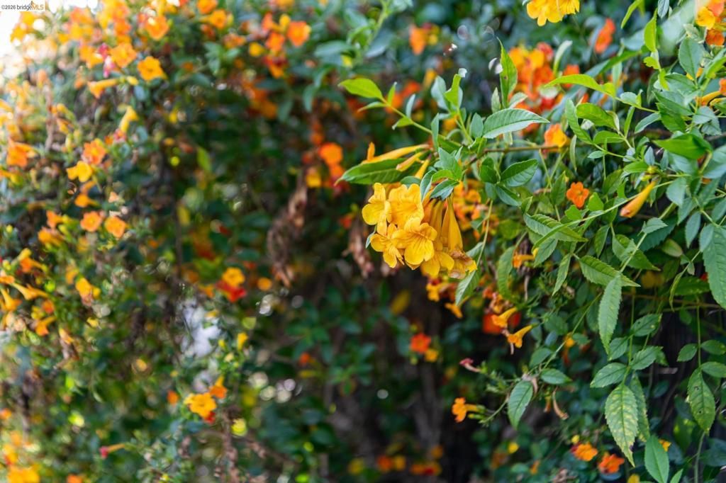 Image 83 of property listing at 5705 Panama Ave, Richmond, CA 94804