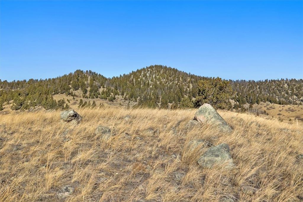 Lot 34 CMR Trail, Nye, MT 59061 photo 7