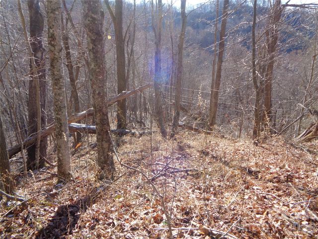 000 Listening Cove 42, Clyde, NC 28721