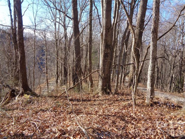 000 Listening Cove 42, Clyde, NC 28721