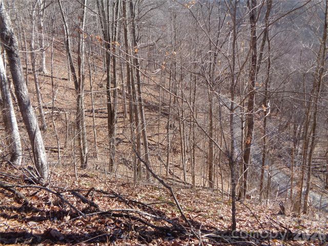 000 Listening Cove 42, Clyde, NC 28721
