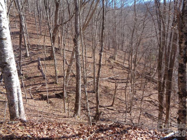 000 Listening Cove 42, Clyde, NC 28721