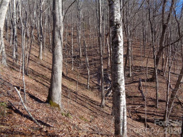 000 Listening Cove 42, Clyde, NC 28721