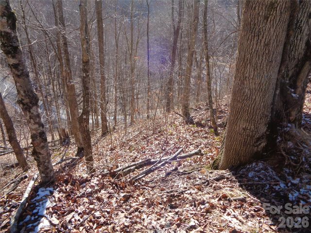 000 Listening Cove 42, Clyde, NC 28721
