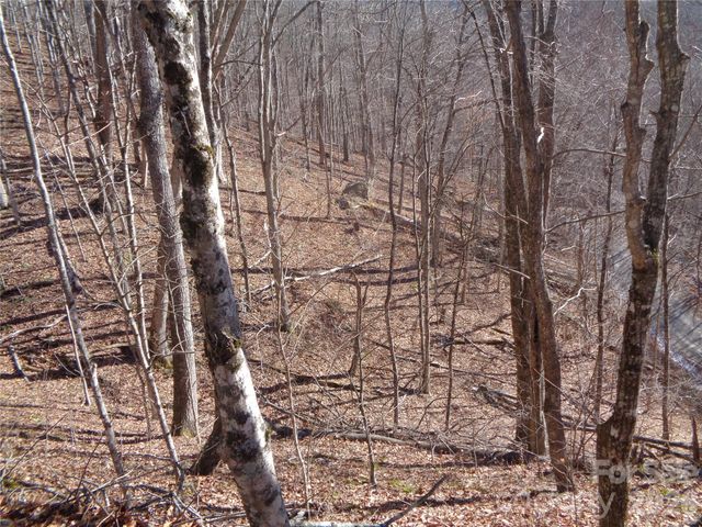 000 Listening Cove 42, Clyde, NC 28721