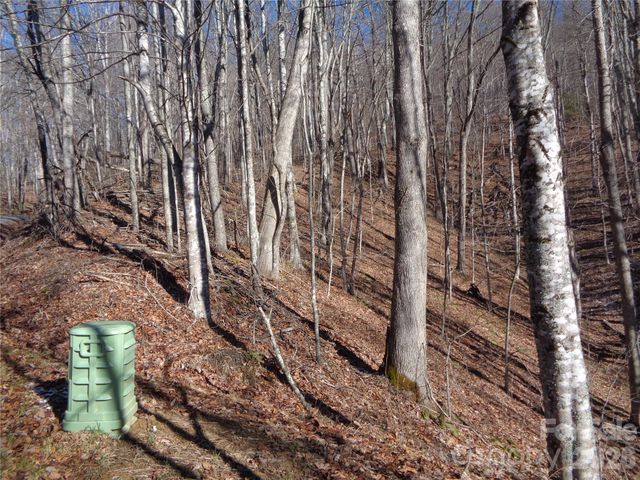 000 Listening Cove 42, Clyde, NC 28721