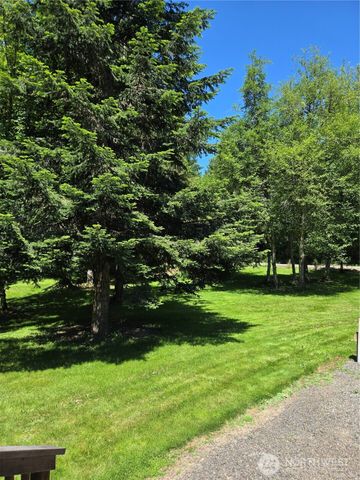 147 Tara Lane, Vader, WA 98593