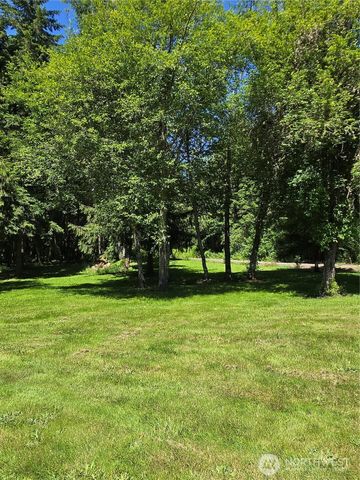 147 Tara Lane, Vader, WA 98593
