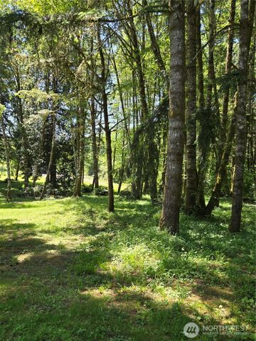 147 Tara Lane, Vader, WA 98593