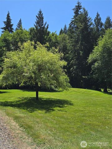 147 Tara Lane, Vader, WA 98593