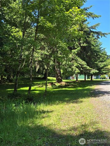 147 Tara Lane, Vader, WA 98593