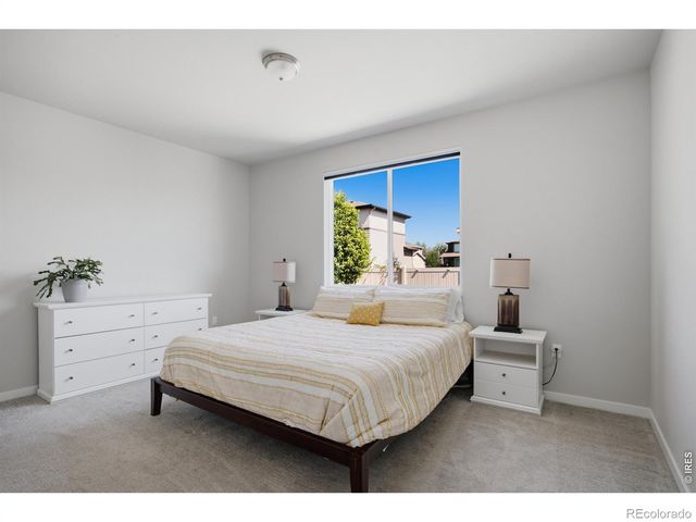 3786 Sweetgum Street, Wellington, CO 80549