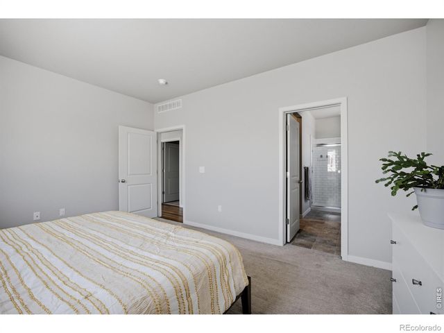 3786 Sweetgum Street, Wellington, CO 80549