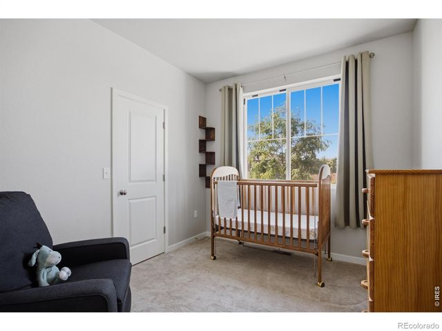 3786 Sweetgum Street, Wellington, CO 80549