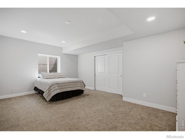 3786 Sweetgum Street, Wellington, CO 80549