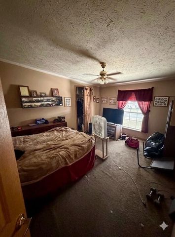 6524 N 96th Avenue, Hart, MI 49420