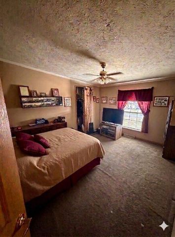 6524 N 96th Avenue, Hart, MI 49420