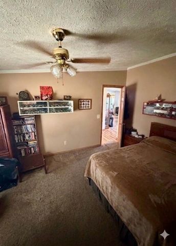 6524 N 96th Avenue, Hart, MI 49420