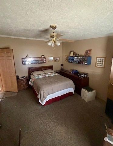 6524 N 96th Avenue, Hart, MI 49420