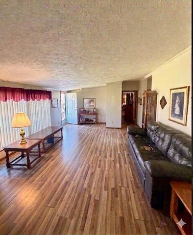 6524 N 96th Avenue, Hart, MI 49420