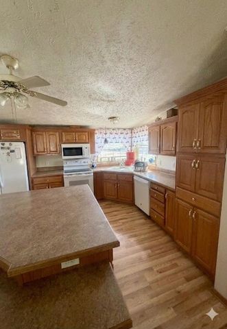 6524 N 96th Avenue, Hart, MI 49420