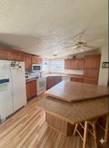 6524 N 96th Avenue, Hart, MI 49420