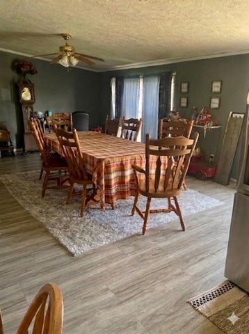 6524 N 96th Avenue, Hart, MI 49420