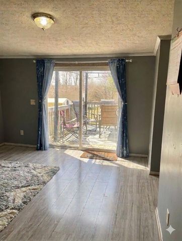 6524 N 96th Avenue, Hart, MI 49420