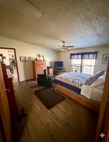 6524 N 96th Avenue, Hart, MI 49420