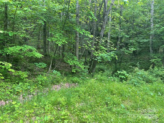34 Buckeye Creek Road, Banner Elk, NC 28604