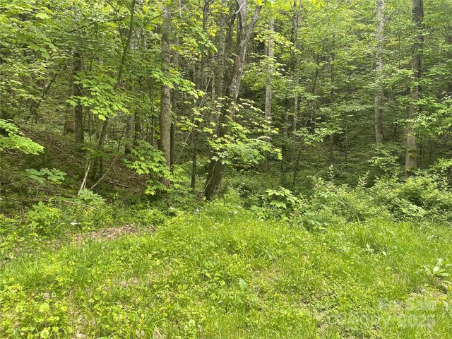34 Buckeye Creek Road, Banner Elk, NC 28604