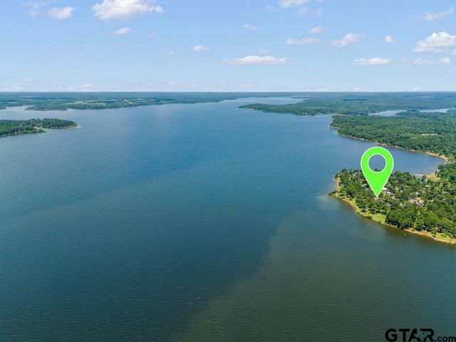 263 Crestwood Loop, Avinger, TX 75630