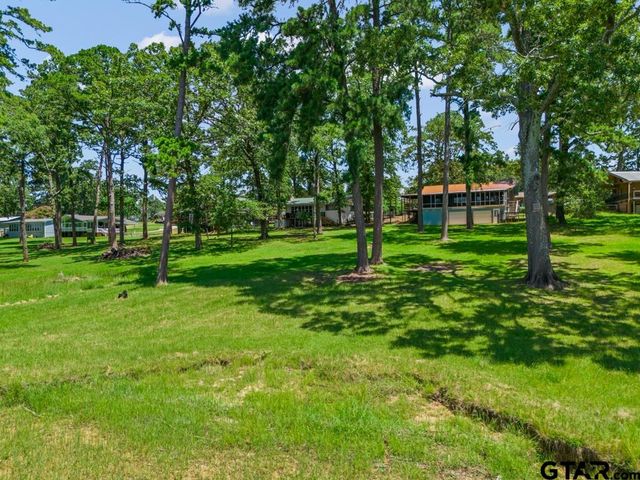 263 Crestwood Loop, Avinger, TX 75630