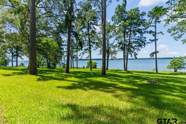 263 Crestwood Loop, Avinger, TX 75630